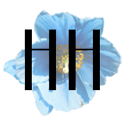 Hadassah Handicrafts